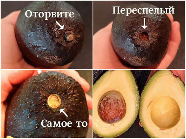 Продукт дня − авокадо: польза и вред для организма человека