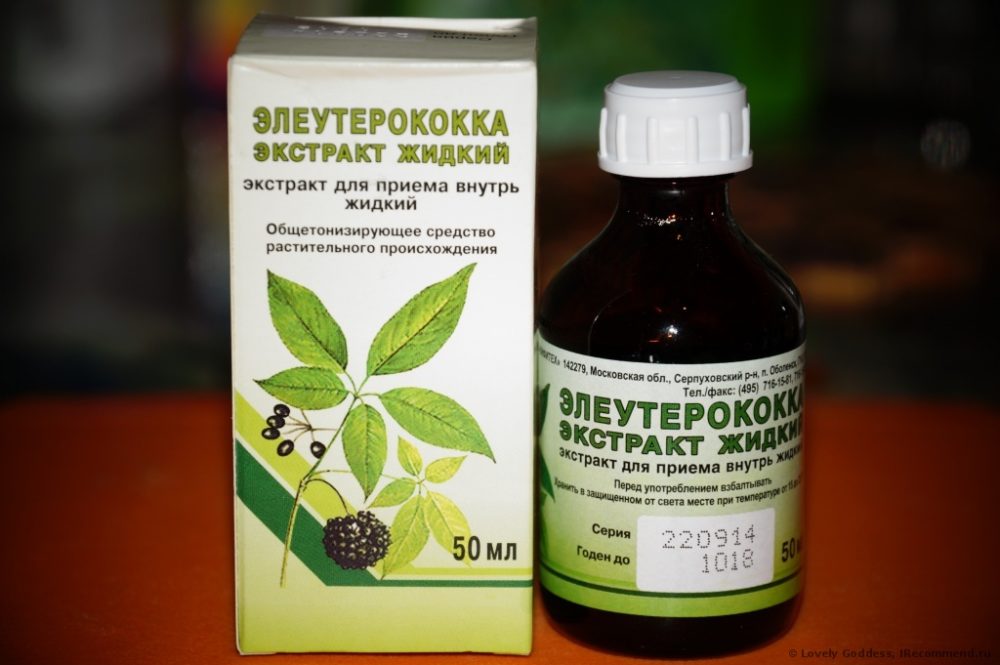 Настойка элеутерококка — инструкция по применению, показания и отзывы Настойка элеутерококка