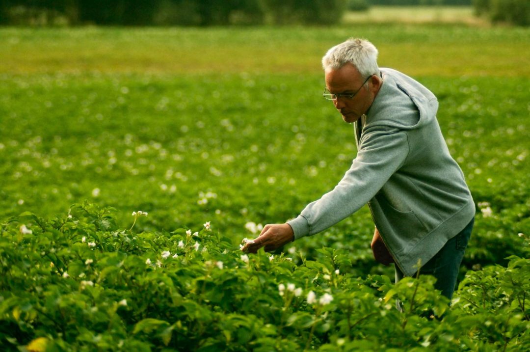 Агроном кто такой и описание профессии. Плюсы и минусы