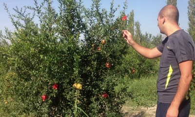 foto22146-1 (6)