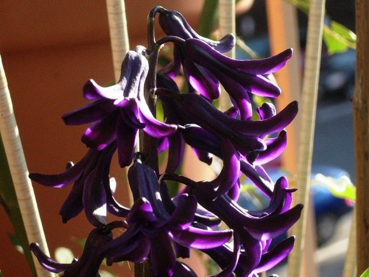 foto22369-1 (12)