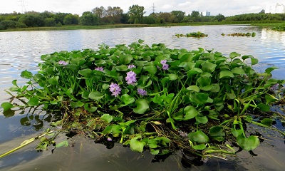 foto22476-1 (1)