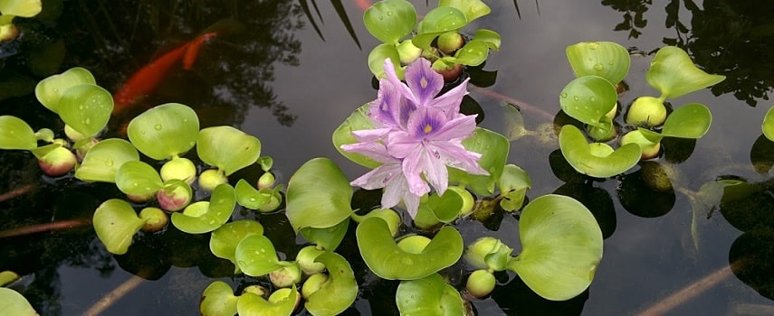 foto22476-1 (3)