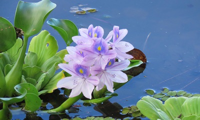 foto22476-1 (4)