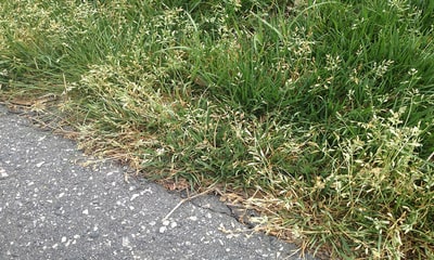 foto22764-2 (1)