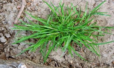 foto22764-2 (4)