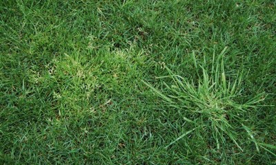 foto22764-2 (5)