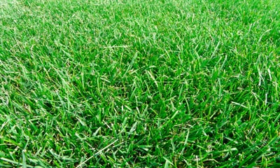 foto22804-1 (1)