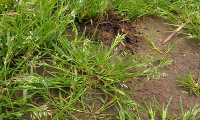 foto22804-1 (9)