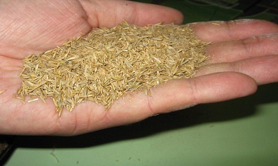foto22827-1 (1)