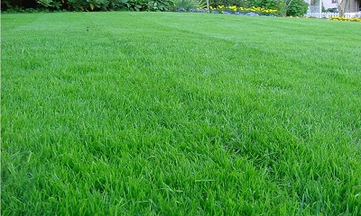 foto22827-1 (4)