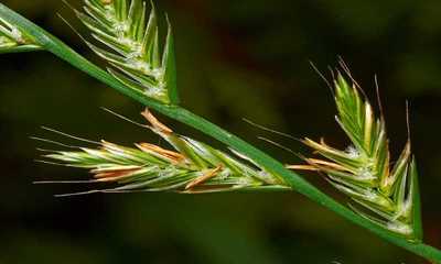 foto22894-2 (4)