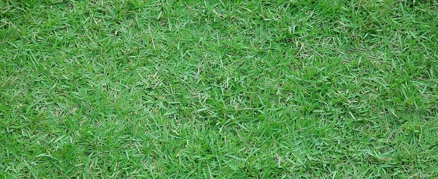 foto23717-1 (1)