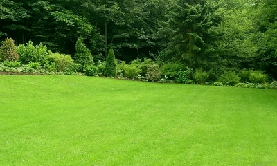 foto23717-2 (2)
