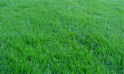 foto23717-2 (7)