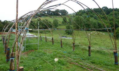 foto 30784-4