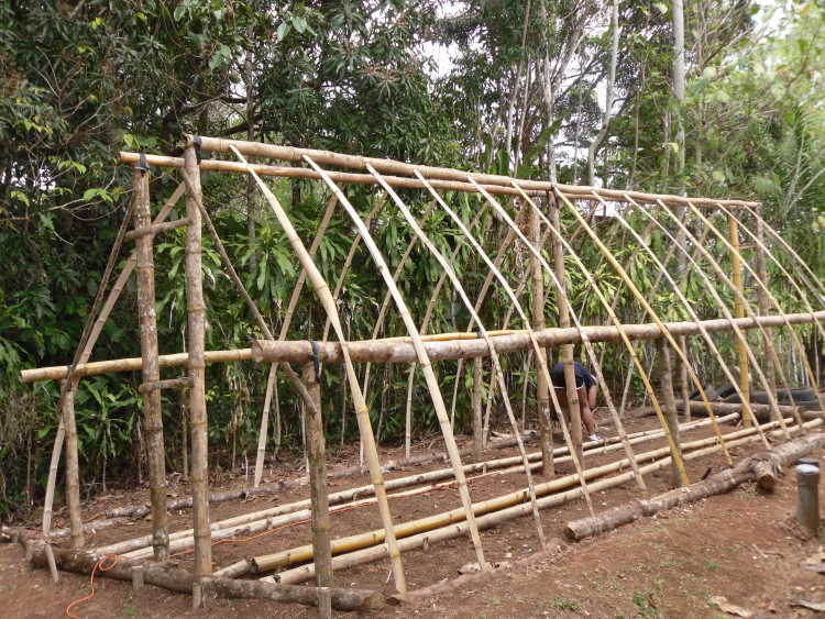 foto 30784-9